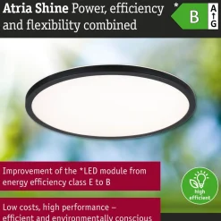 LED-paneeli Paulmann Atria Shine IP44 Ø398mm 20.8W 2800lm White Switch puunruskea tammi