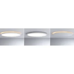 LED-paneeli Paulmann Atria Shine Ø290mm 19/2W 2400lm/150lm 3000K valkoinen