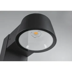 LED-pollarivalaisin Paulmann Capea, IP44, 50cm, 2200K, antrasiitti