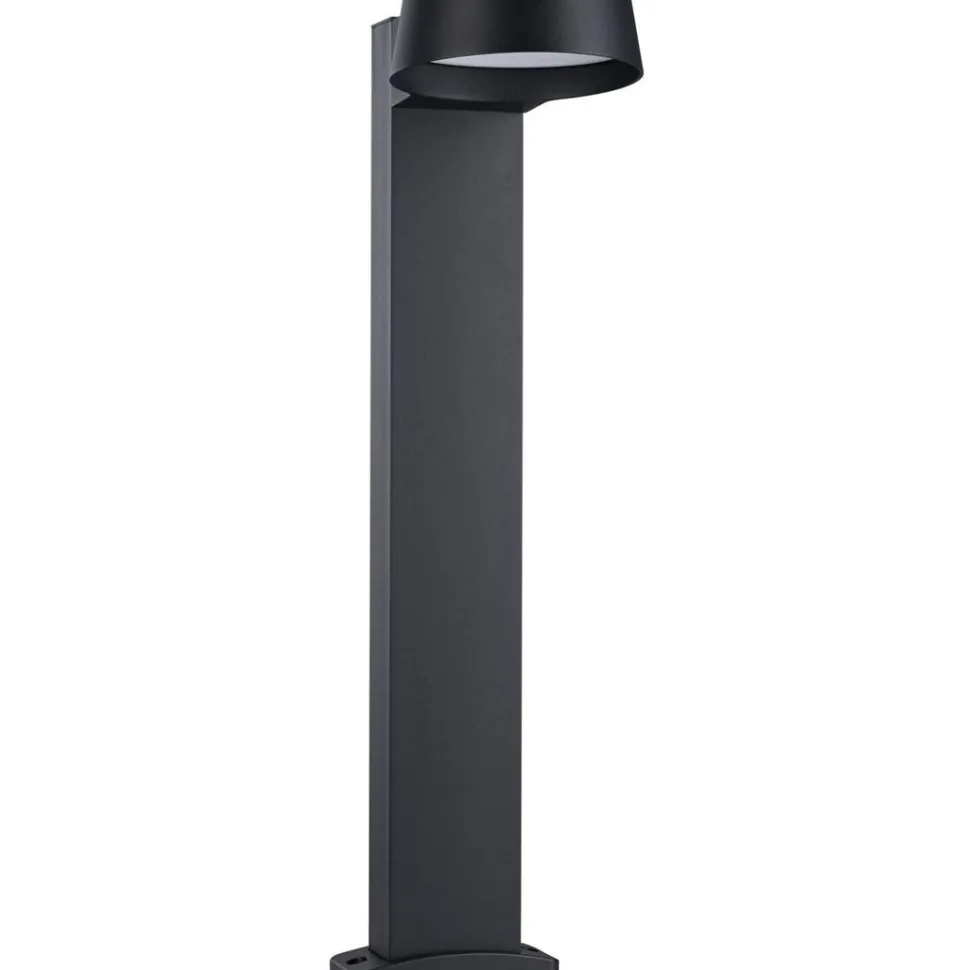 LED-pollarivalaisin Paulmann Capea Grand, IP44, 3000K, antrasiitti