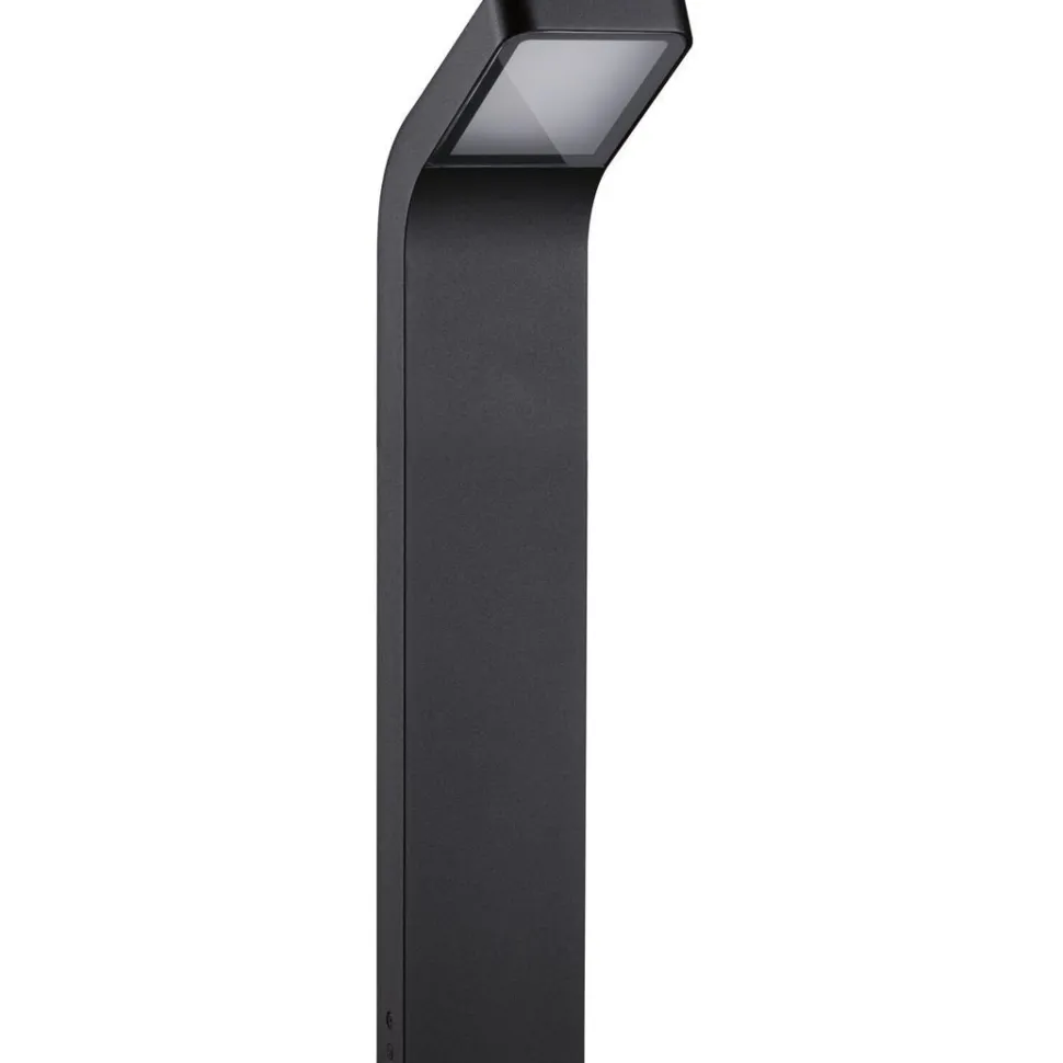 LED-pollarivalaisin Paulmann Kulma, 50cm, IP44, 3000K, korroosionkestävä, antrasiitti