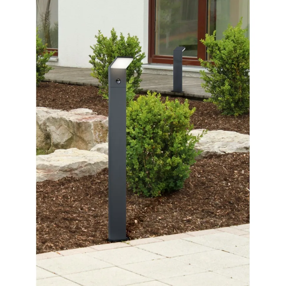 LED-pollarivalaisin Pearl 100x80x500 mm matala antrasiitti liiketunnistimella