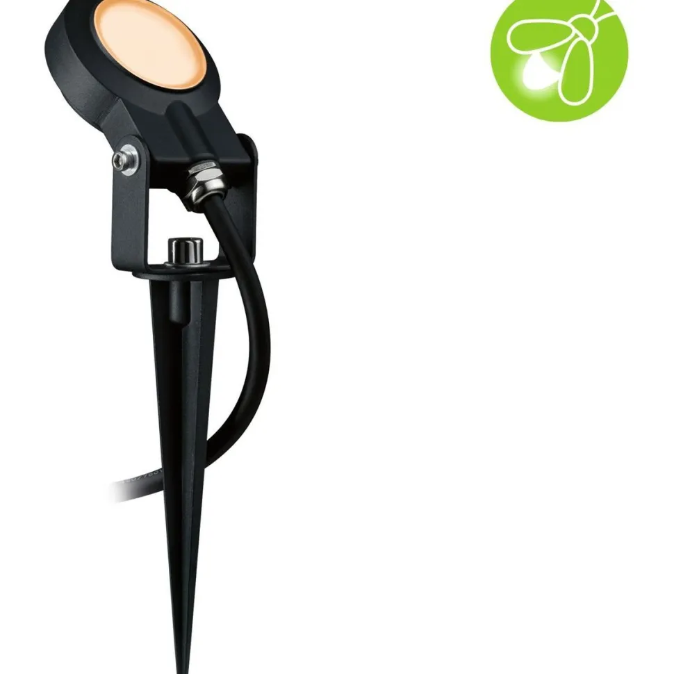 LED-puutarhaspotti Paulmann Plug & Shine Sting, IP67, 2200K, 6.3W, antrasiitti