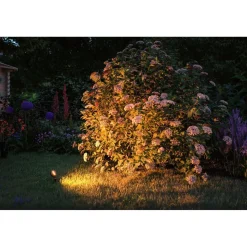 LED-puutarhaspottisarja Paulmann Plug & Shine Sting, IP67, 2200K, 3x6.3W, antrasiitti