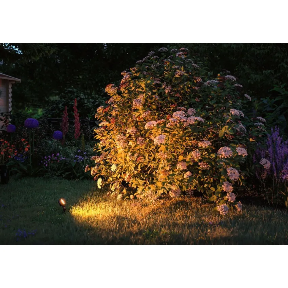 LED-puutarhaspottisarja Paulmann Plug & Shine Sting, IP67, 2200K, 3x6.3W, antrasiitti