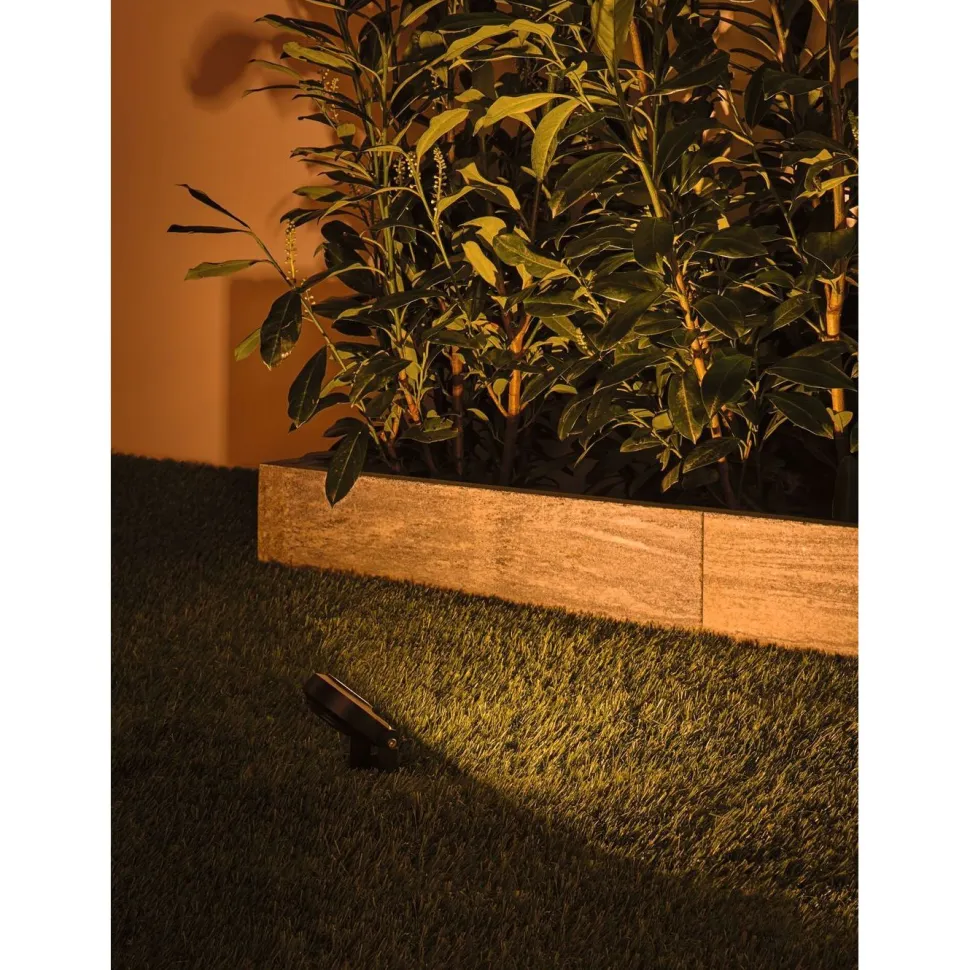 LED-puutarhaspottisarja Paulmann Plug & Shine Sting, IP67, 2200K, 3x6.3W, antrasiitti