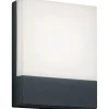 LED-seinävalaisin Trio Pecos 200x160 mm antrasiitti