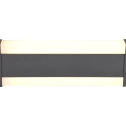 LED-seinävalaisin Trio Dawson, 30cm, antrasiitti