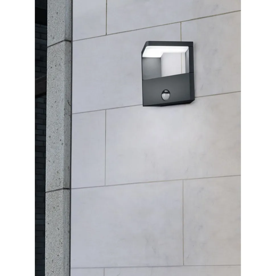 LED-seinävalaisin Trio Ganges 150x170 mm antrasiitti liiketunnistin