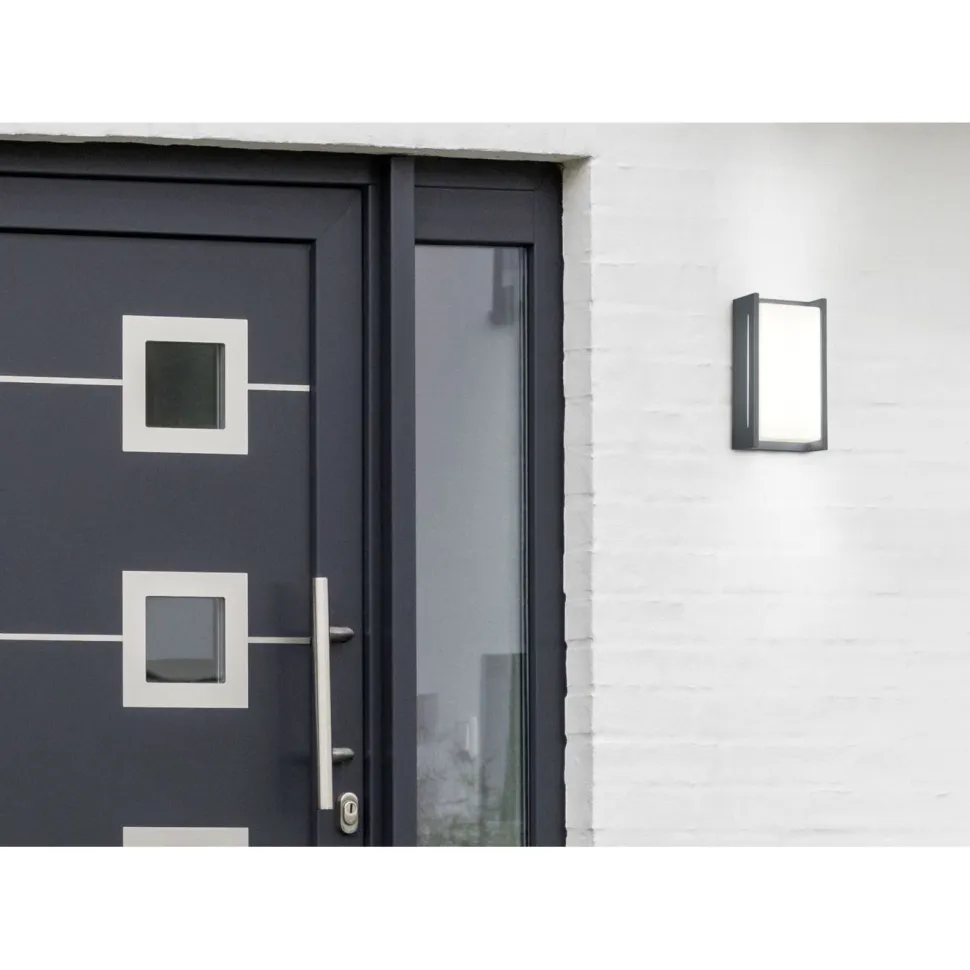 LED-seinävalaisin Trio Indus 129x233 mm antrasiitti IP54