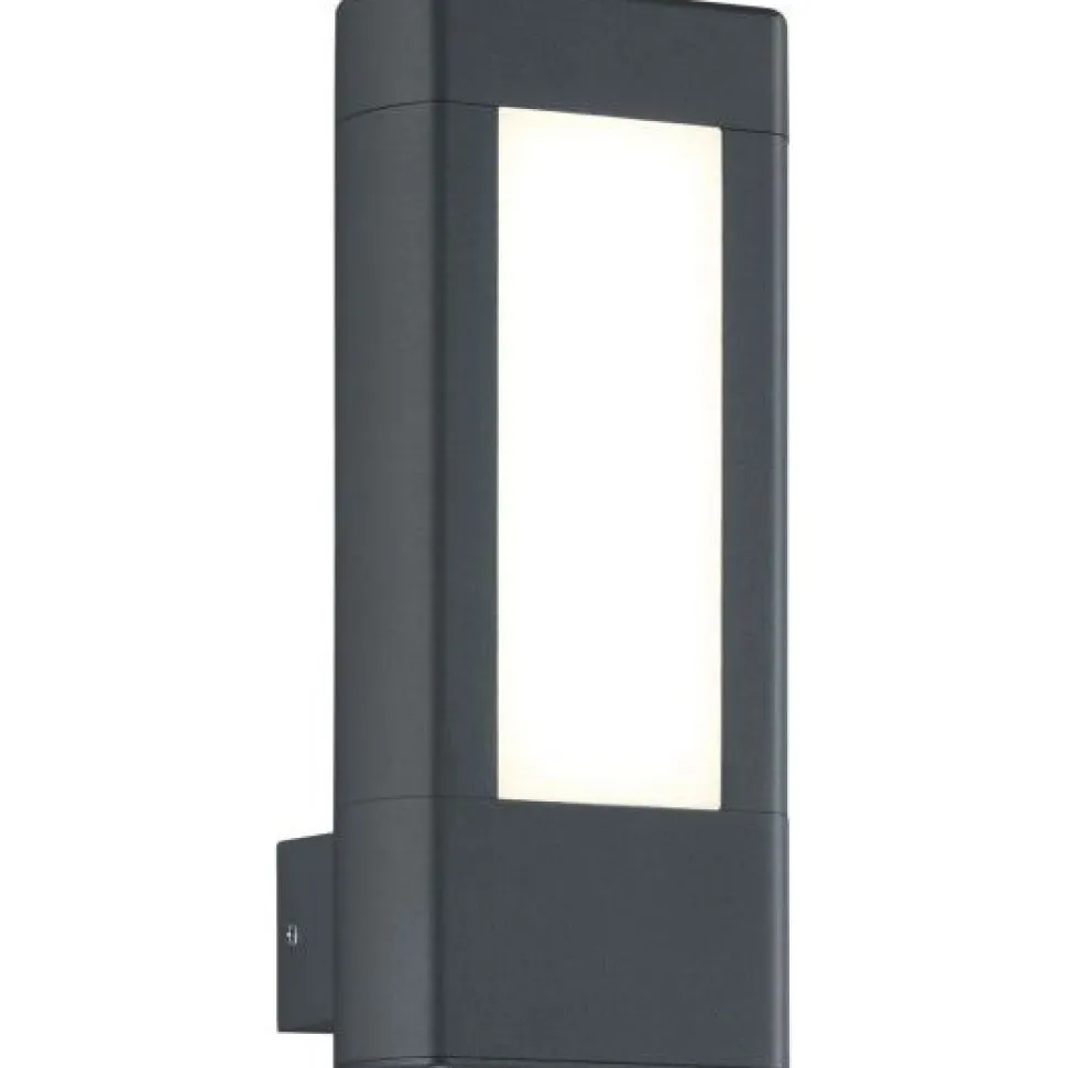 LED-seinävalaisin Trio Rhine 250x110x100 mm antrasiitti