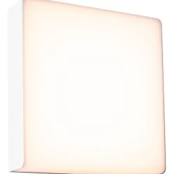 LED-ulkoseinävalaisin liiketunnistimella Paulmann Azalena, IP44, 3000K, korroosionkestävä, valkoinen