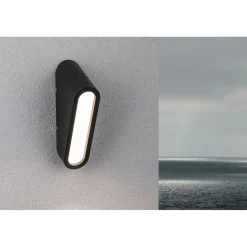 LED-ulkoseinävalaisin Paulmann Clif, IP44, 3000K, korroosionkestävä, antrasiitti