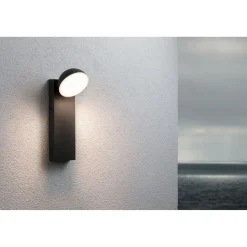 LED-ulkoseinävalaisin Paulmann Puka, IP44, 3000K, korroosionkestävä, antrasiitti