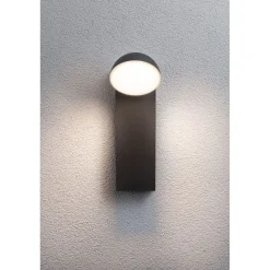 LED-ulkoseinävalaisin Paulmann Puka, IP44, 3000K, korroosionkestävä, antrasiitti