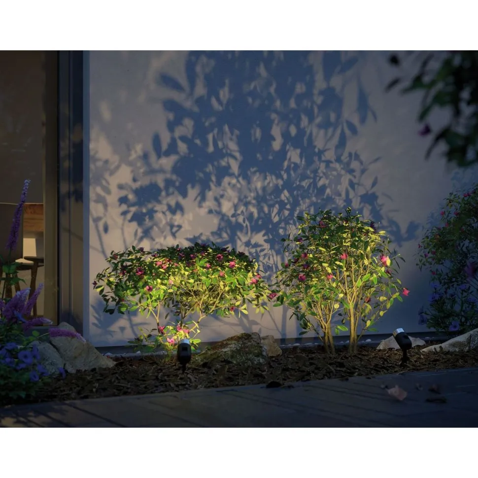 LED-Ulkospottivalaisin Paulmann Plug & Shine SpotPike 3000K antrasiitti