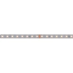 LED-valonauha Paulmann MaxLED 500, 1m, 3.6W, 550lm/m, 4000K, neutraali valkoinen
