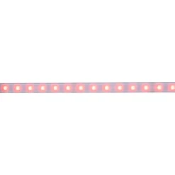 LED-valonauha Paulmann MaxLED 500, 1m, IP44, 12W, 440lm/m, RGBW+