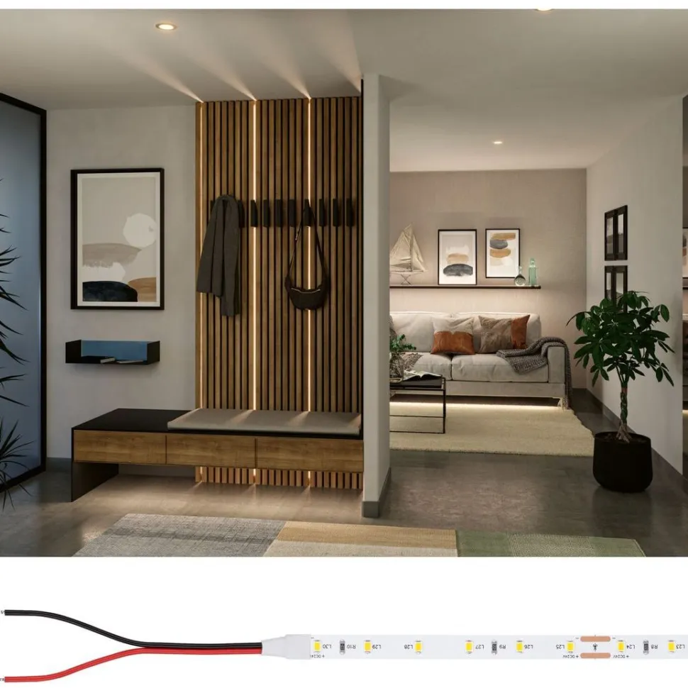 LED-valonauha Paulmann ProStrip Silver, P25, 830, 5m, 20W, 400lm/m, 60LEDs/m, 3000K