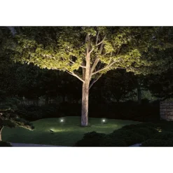 LED-Valonheitin Paulmann Plug & Shine Flood 15.5W
