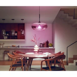 Älylamppu Philips Hue WCA 15W A67 E27