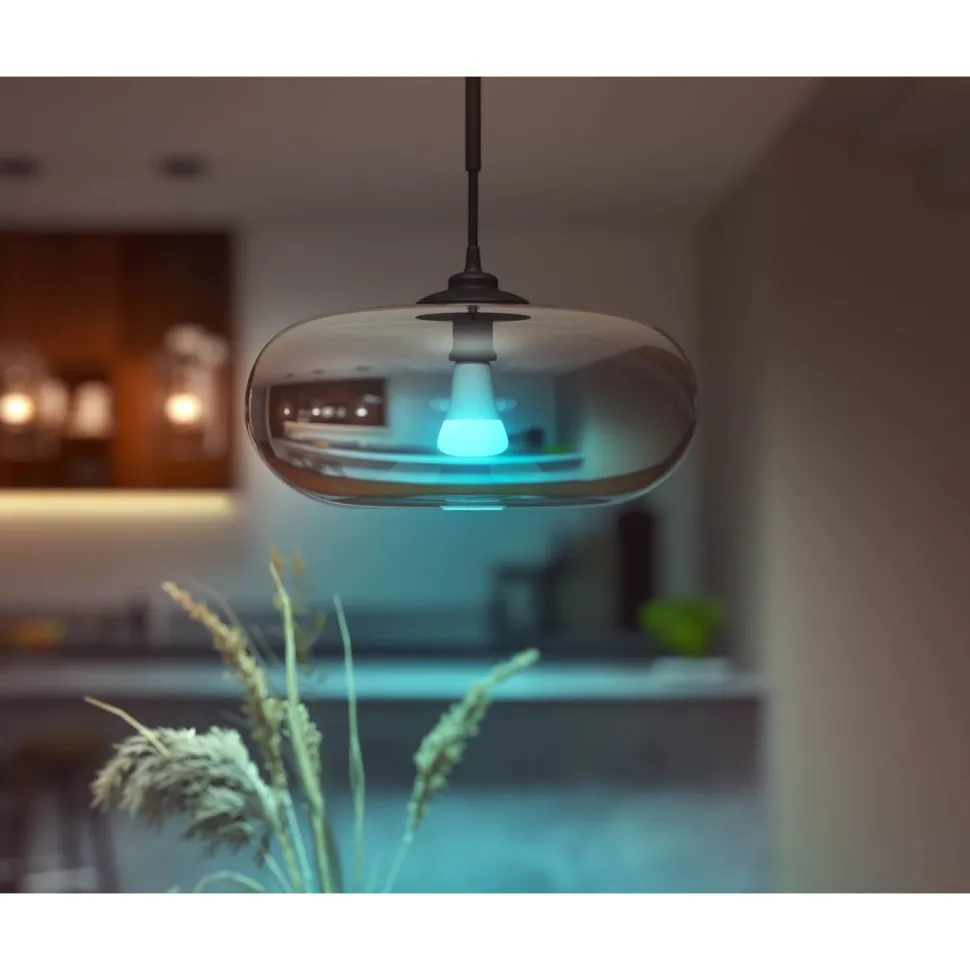 Älylamppu Philips Hue WCA 15W A67 E27