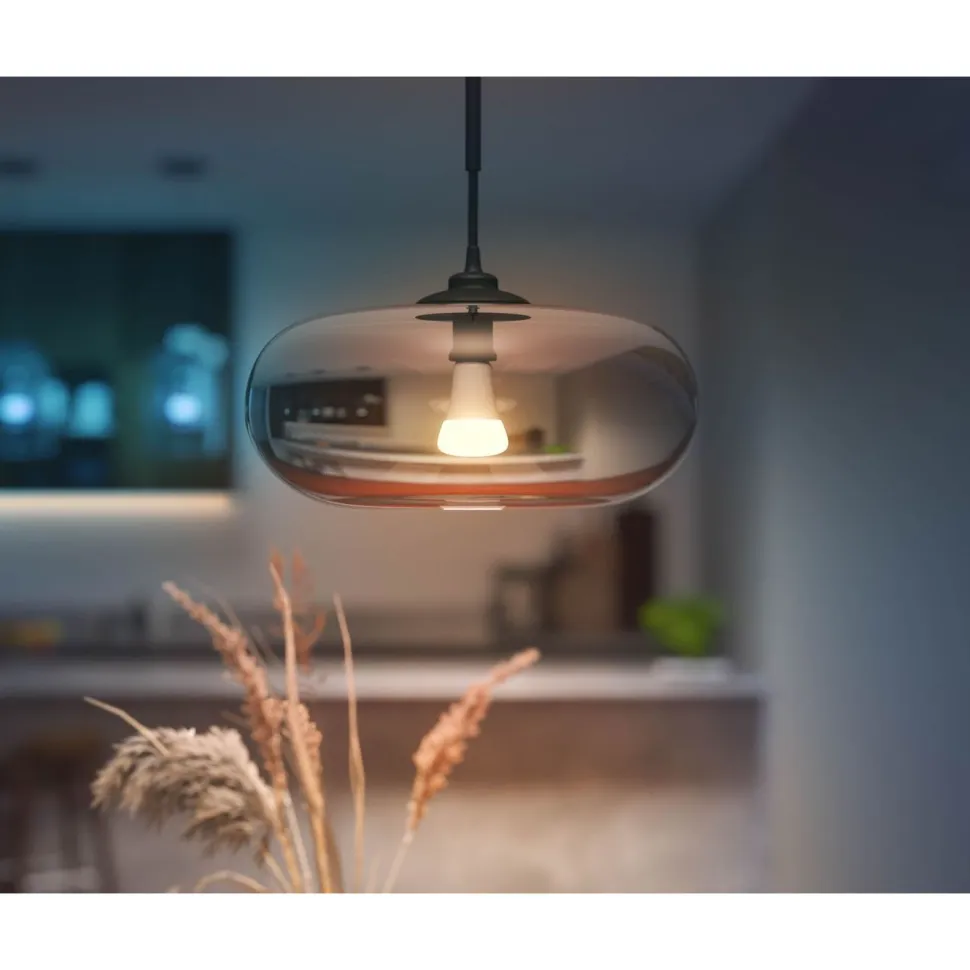 Älylamppu Philips Hue WCA 15W A67 E27