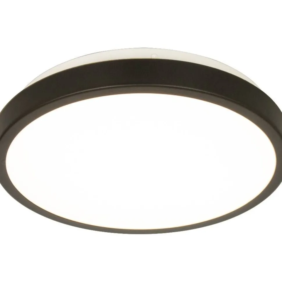 Plafondi Aneta Lighting Anillo Ø30cm musta