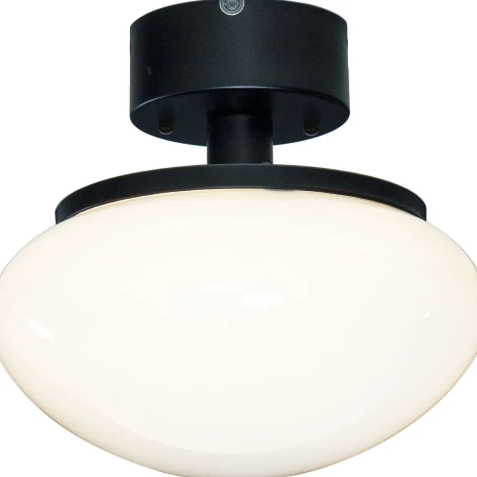 Plafondi Aneta Lighting August New, metalli/lasi, E27, musta/valkoinen