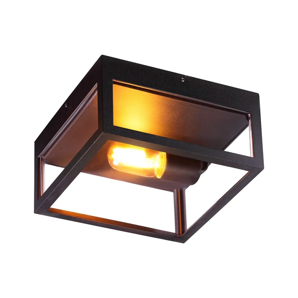 Plafonfi Aneta Lighting Arendal ulkokäyttöön IP44