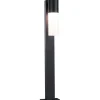 Pollarivalaisin Paulmann Tralia, IP44, 65cm, E27, antrasiitti