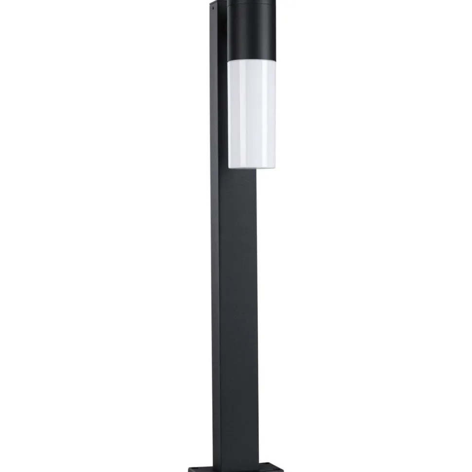 Pollarivalaisin Paulmann Tralia, IP44, 65cm, E27, antrasiitti