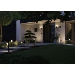Pollarivalaisin Paulmann Tralia, IP44, 65cm, E27, antrasiitti