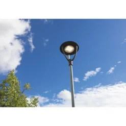Puistovalaisin Malmbergs Sigma, 65W