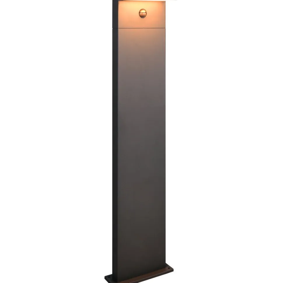 Pylväsvalaisin Trio Ravi LED 50cm liiketunnistimella antrasiitti