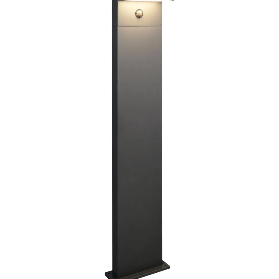 Pylväsvalaisin Trio Ravi LED 50cm liiketunnistimella antrasiitti