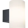 Ulkoseinävalaisin Paulmann Tube, IP54, 12cm, antrasiitti