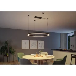 Virtalähde Paulmann Linion Power Box Zigbee 230/24V integroitu muuntaja signaalimusta